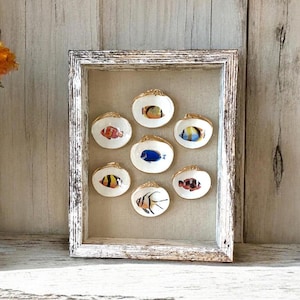 Shadow Box coquillage, décoration de poissons tropicaux, décoration côtière à suspendre, coquillages encadrés, décoration de maison de plage, art de coquillages, cadeau de coupage de coquillages