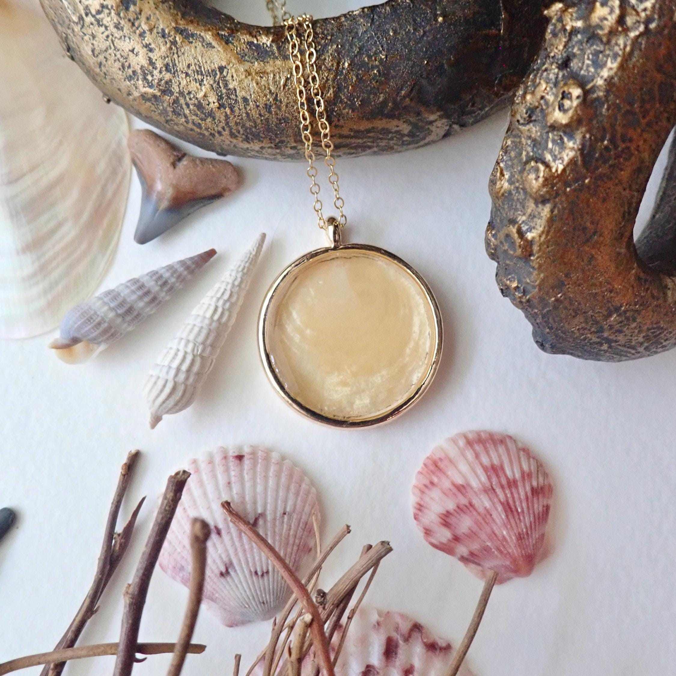 ネックレス・ペンダント Seashell Necklace Pearl Seashell Necklace with Sapphire Crystals — Ocean Jewelry
