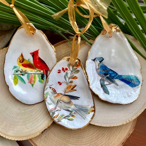 Austernmuschel Ornament, Vogel Ornament, Weihnachten Ornament handgefertigt, Weihnachtsbaum Ornament, Urlaub Dekor, Kardinal Ornament, Bluehäher Ornament