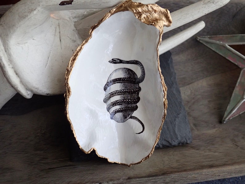 May include: A white oyster shell dish with a gold rim, featuring a black and white illustration of a snake wrapped around an egg. The dish is on a wooden surface.