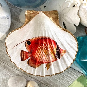Gold Scallop Shell, Seashell Decoupage, Sea Shell Dish, Ring Dish,Jewelry Dish, Fish Home Decor, Trinket Dish, Hostess Gift, Coastal Decor,