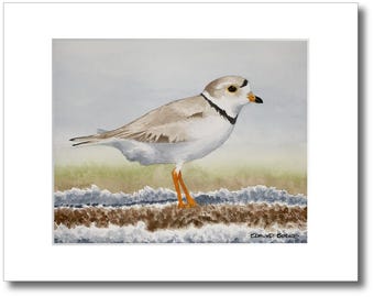 May include: A watercolour painting of a piping plover standing on a sandy beach with white ocean foam. The bird has light brown and white feathers, a black neck ring, and orange legs. The artist signature Edmund Burke is in the corner.