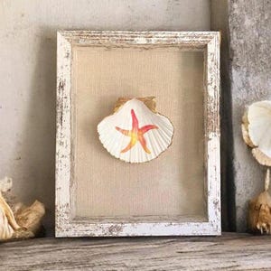 Encadré de coquillages, art mural décoratif côtier, boîte d&#39;ombre de coquillage, décoration de maison de plage, cadeau de coquille Saint-Jacques de découpage, art de coquillage, art d&#39;étoile de mer