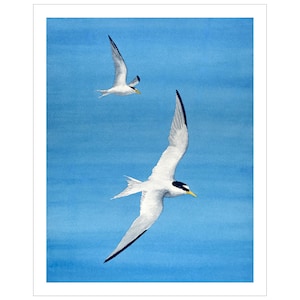 Tern Watercolor Print, Coastal Bird Art Print, Original Bird Painting, Flying Shorebird Wall Art,Bird Watcher Gift, Wildlife Art Print