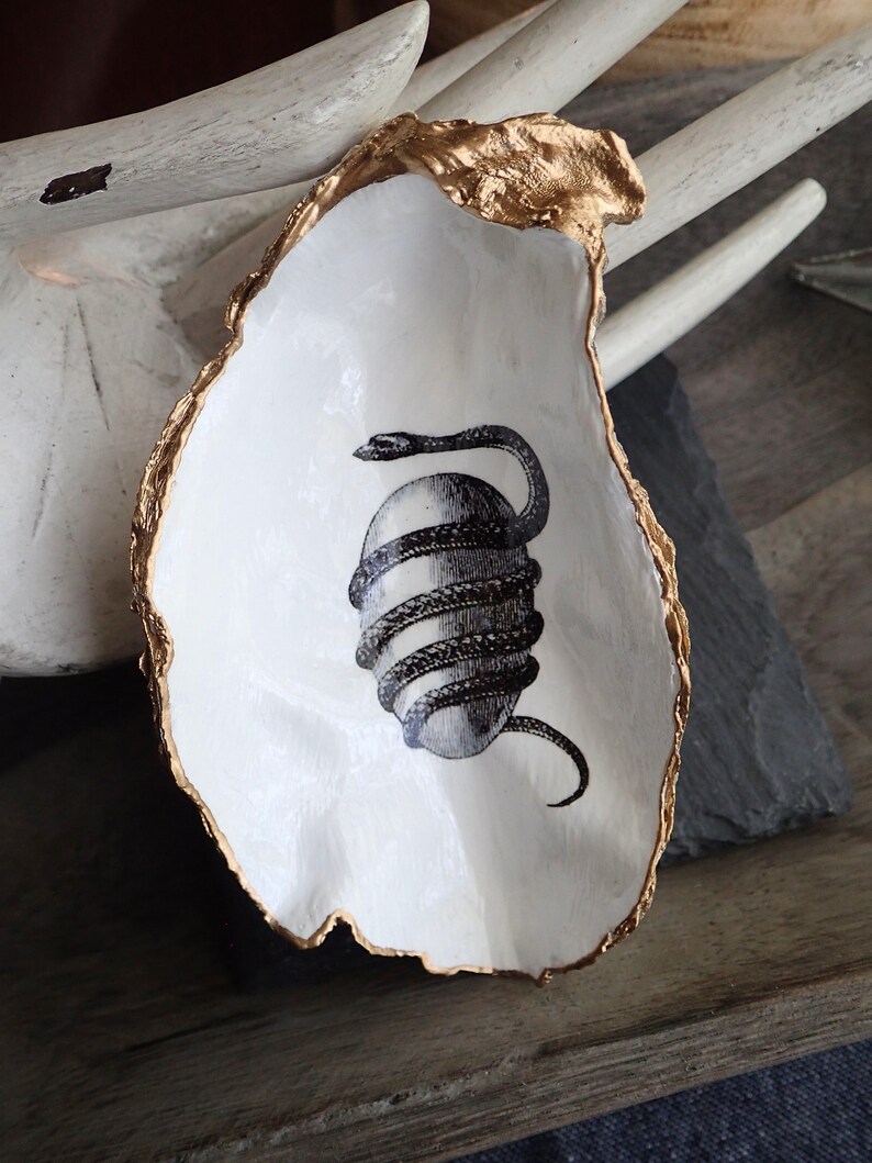 May include: A white ceramic oyster shell dish with a gold rim. The dish features a black and white illustration of a snake wrapped around an egg.