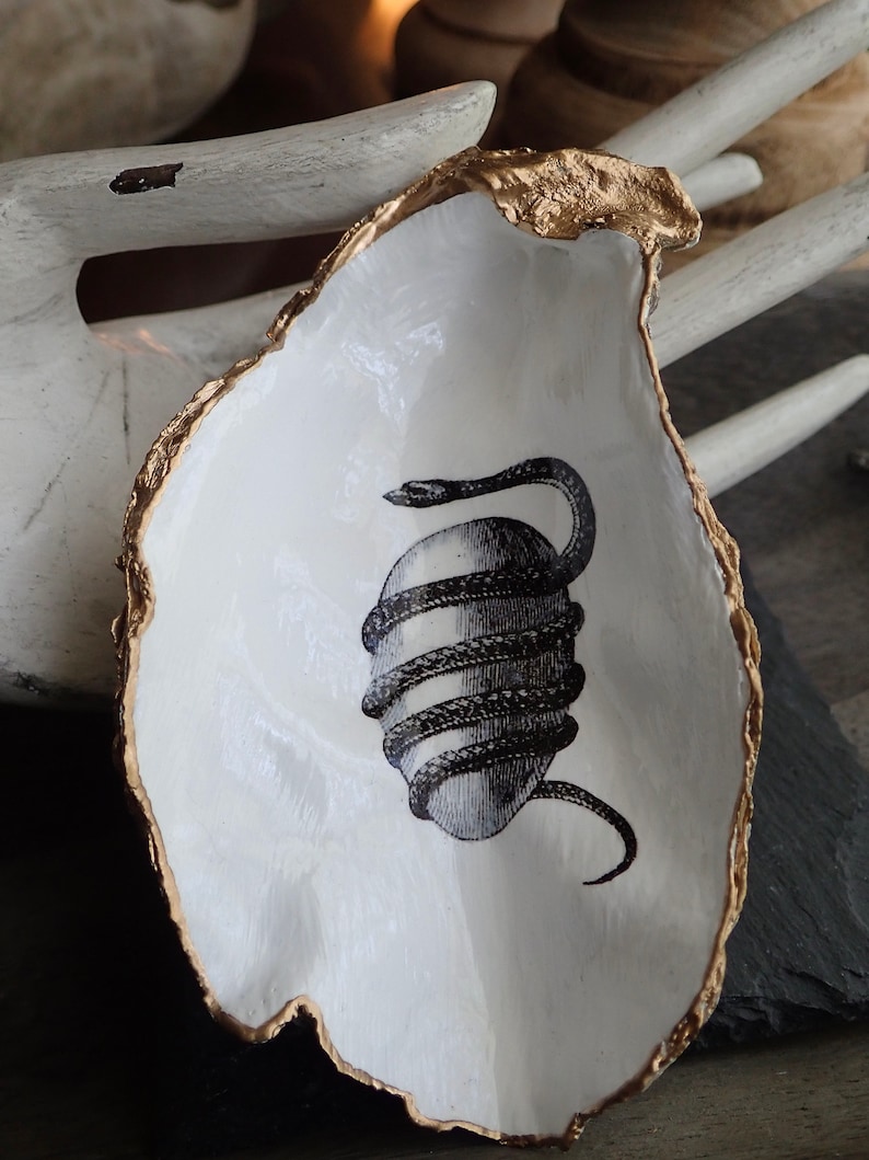 May include: A white ceramic oyster shell dish with a gold rim. The dish features a black and white illustration of a snake wrapped around an egg.
