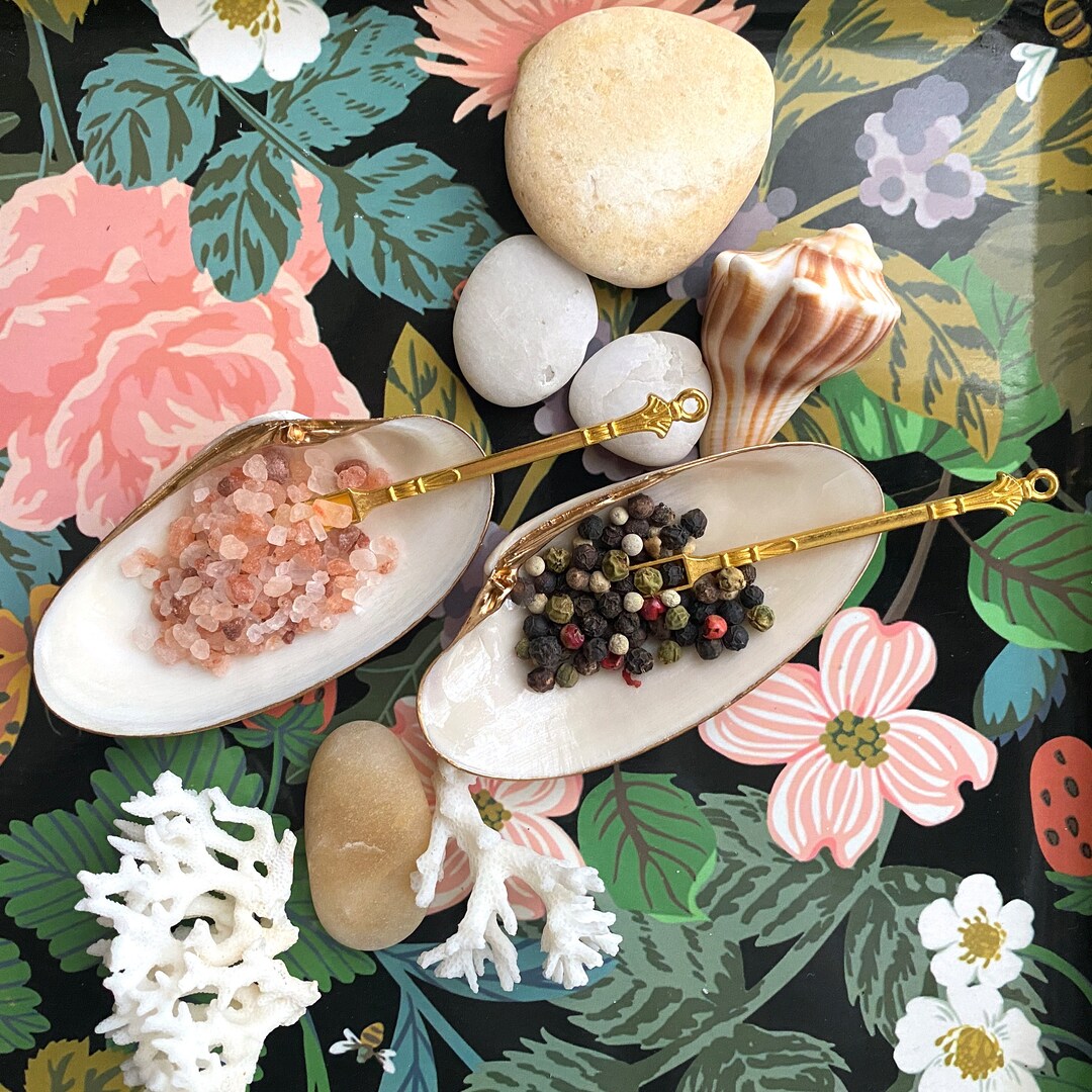 Shell Salt and Pepper Dishes With Spoons Decoupage Shell Salt Etsy