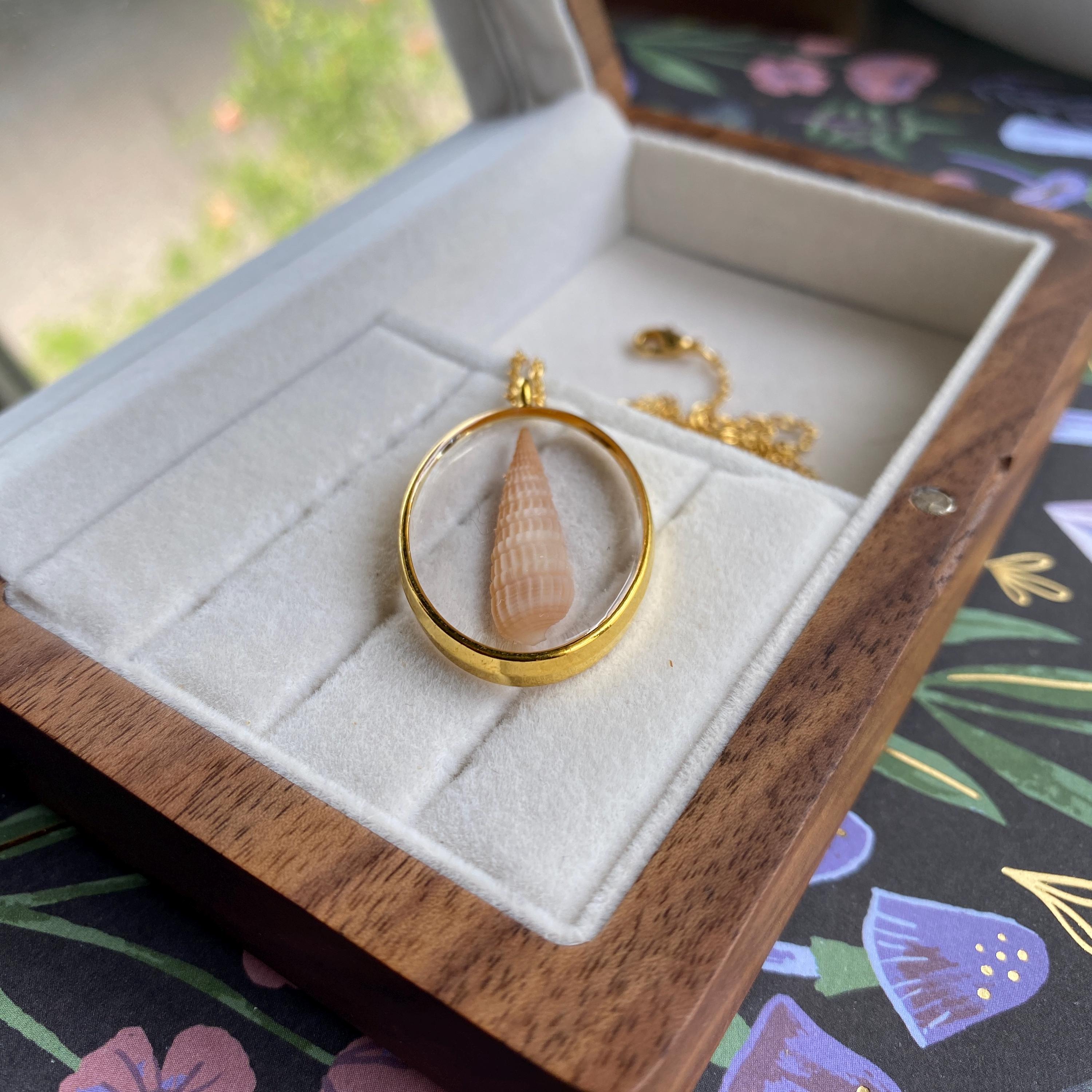 Real Shell Handmade Necklace, Seashell Necklace, Seashell