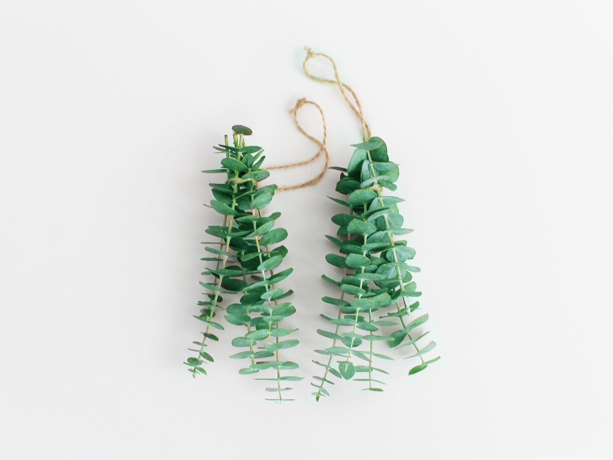 Fresh Eucalyptus Car Air Fresheners Car Freshener Car Etsy