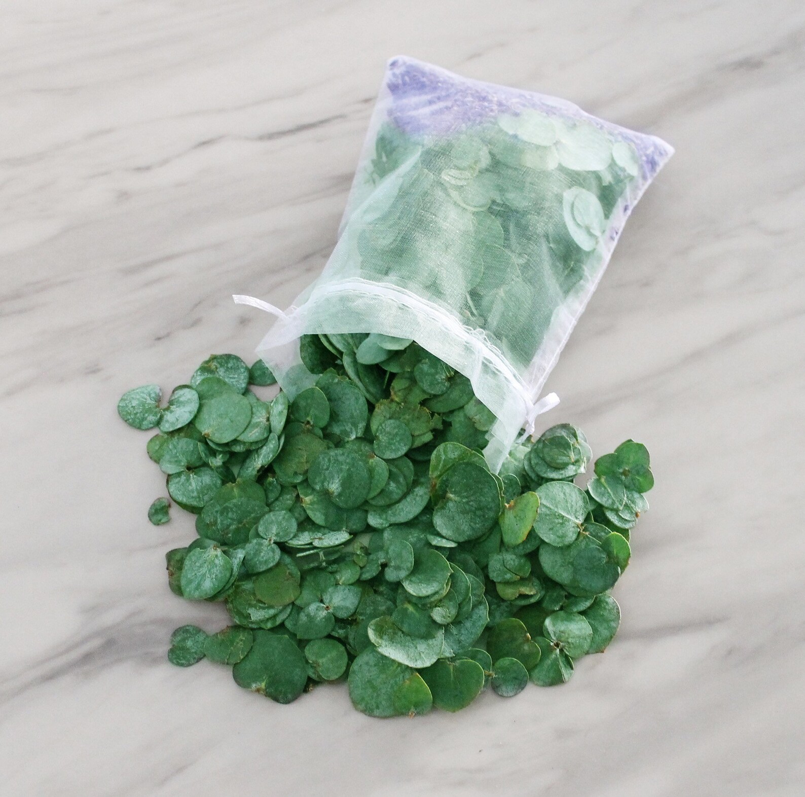 Fresh Eucalyptus & Lavender Potpourri Shower Bath Pouch Etsy