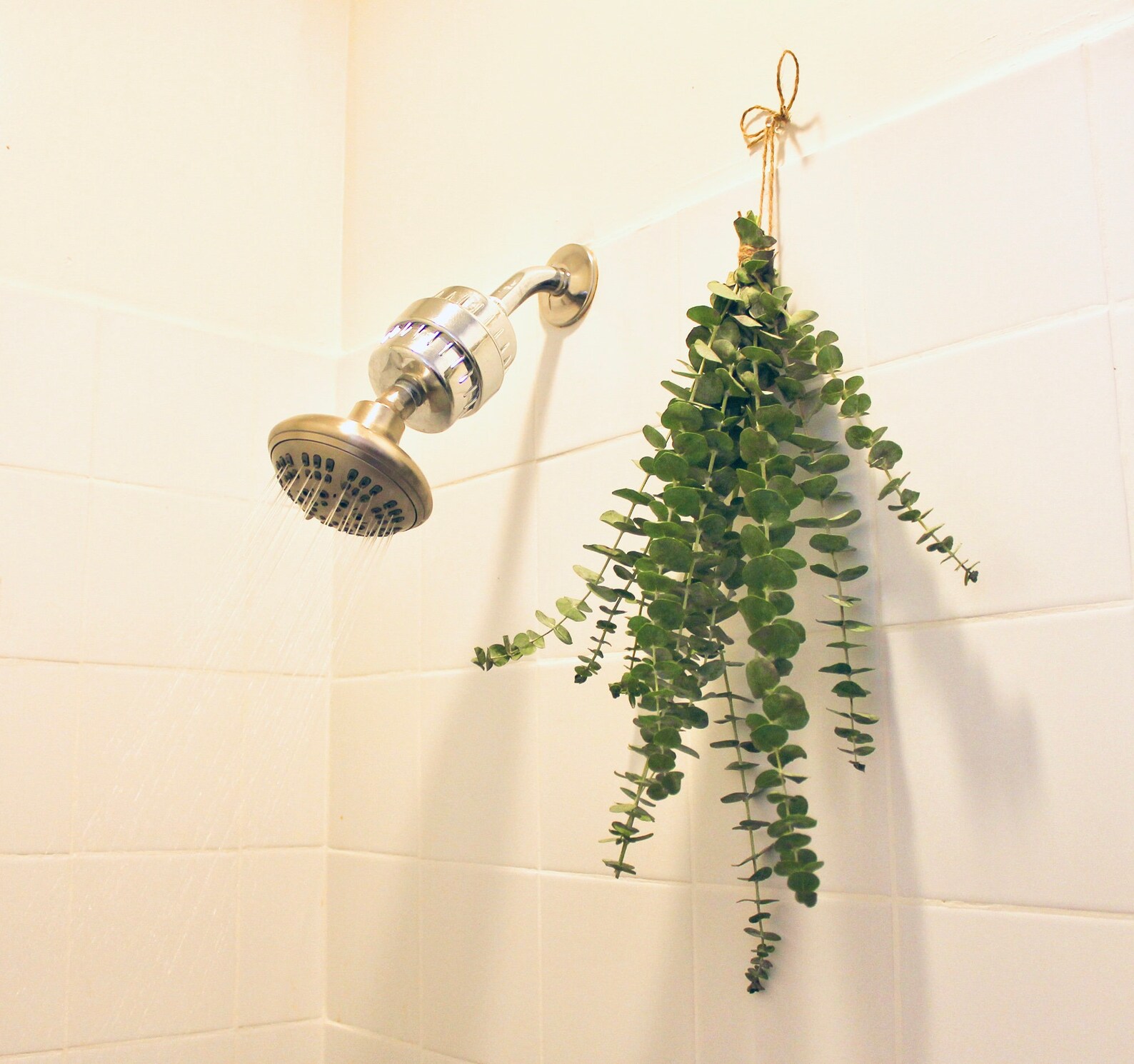 Shower Eucalyptus Bundle Eucalyptus Shower Aromatherapy Etsy