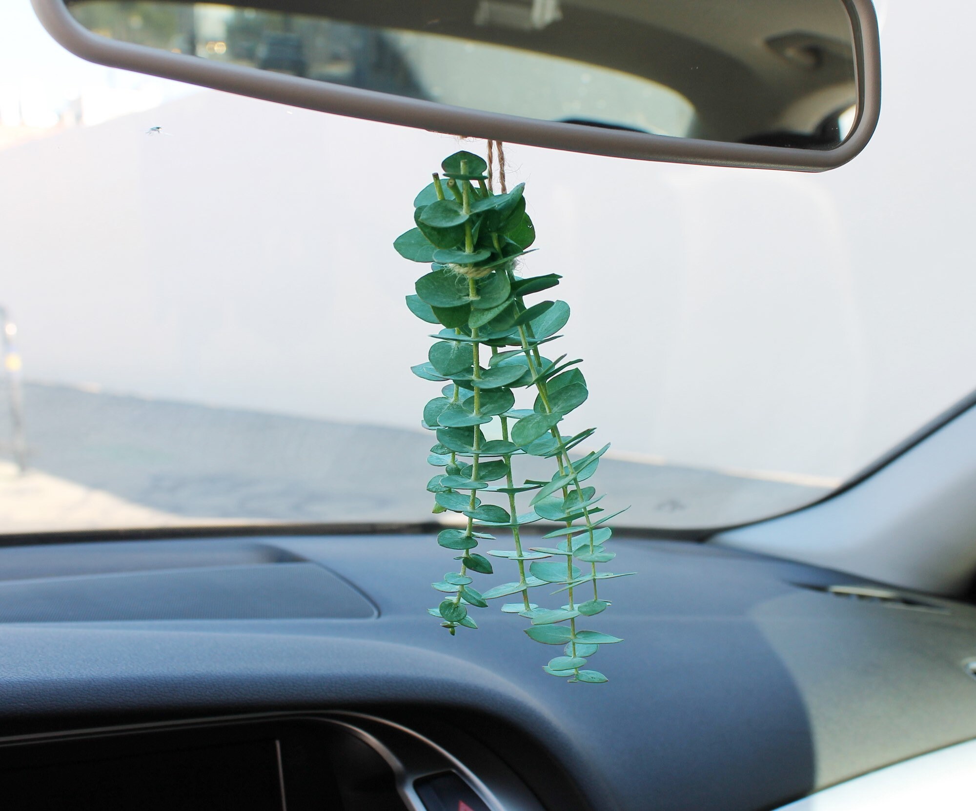 Fresh Eucalyptus Car Air Fresheners Car Freshener Car Etsy