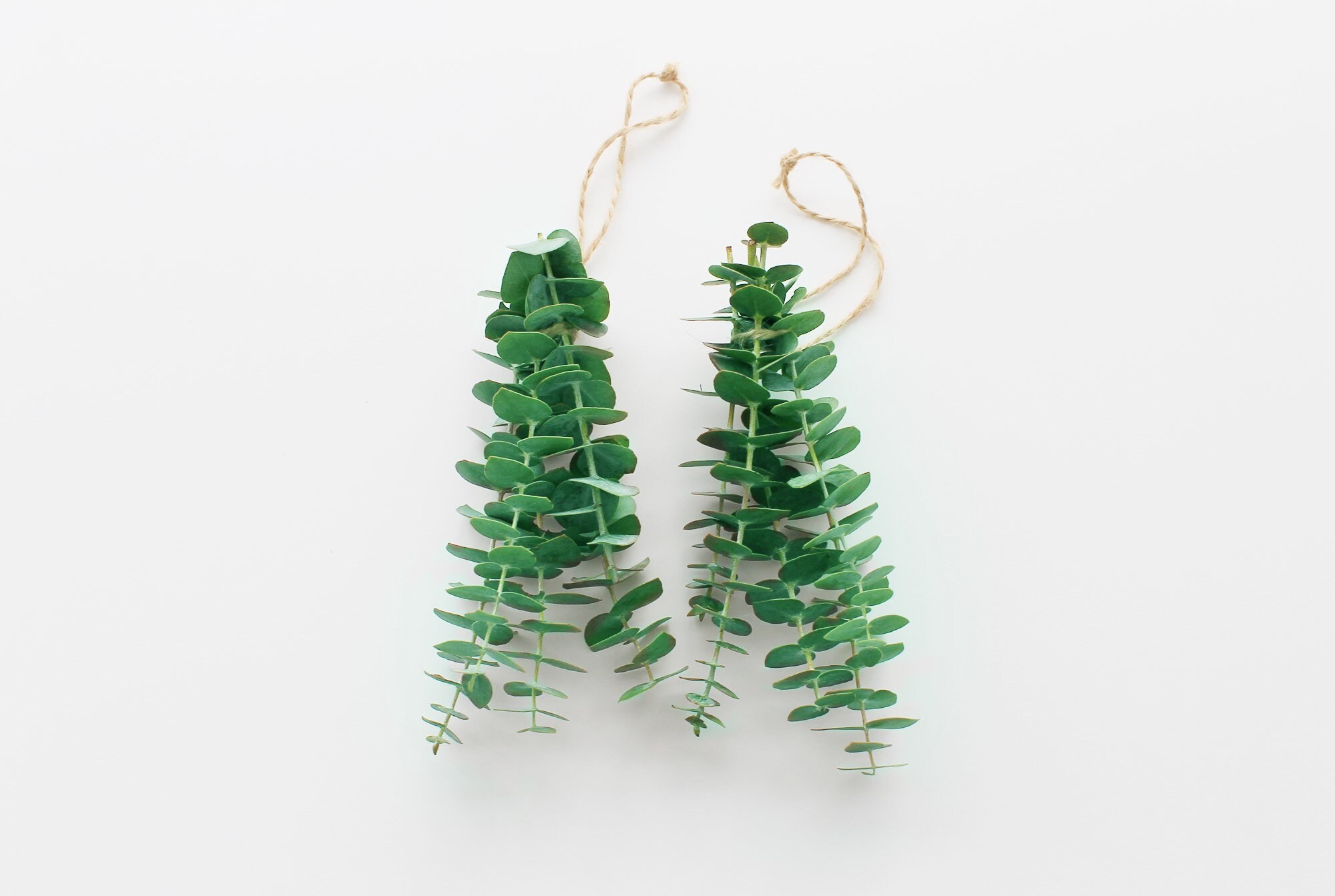 Fresh Eucalyptus Car Air Fresheners Car Freshener Car Etsy