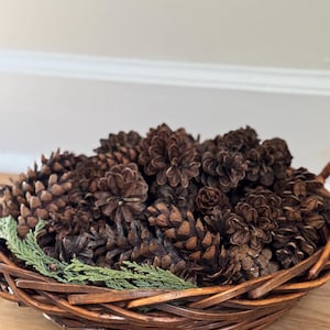 Pinecones for Craft Nature Inspired Home Decor Vase Filler Rustic Wedding Natural Ornaments Modern Farmhouse Woodland Wreaths Florist Supply