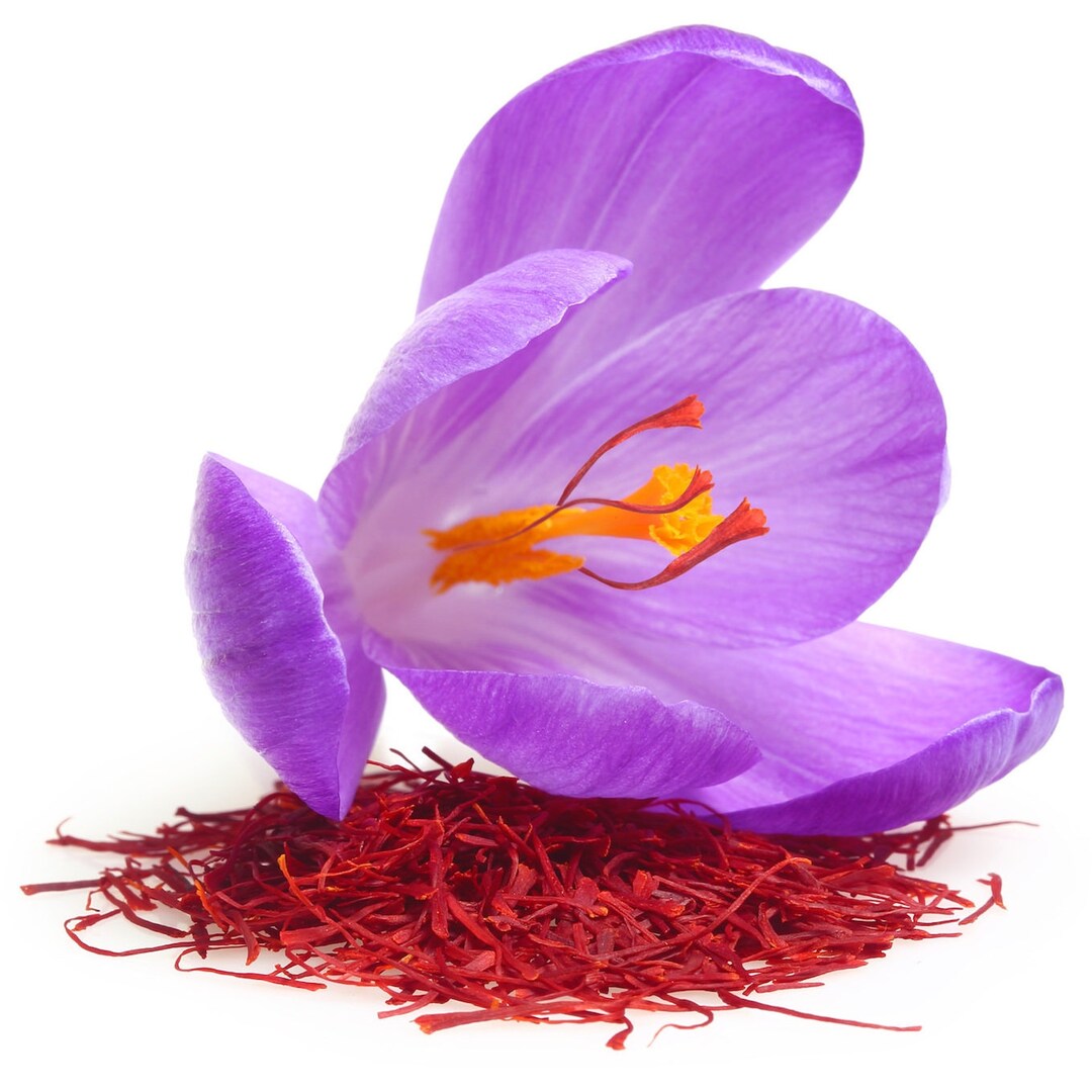 100 Pure Natural Saffron Essential Oil Pious Essence Therapeutic Grade