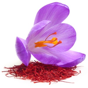 100% Pure Natural Saffron Essential Oil - Pious Essence - Therapeutic Grade Saffron Oil 5ml To 1000ml Free Shipping Worldwide