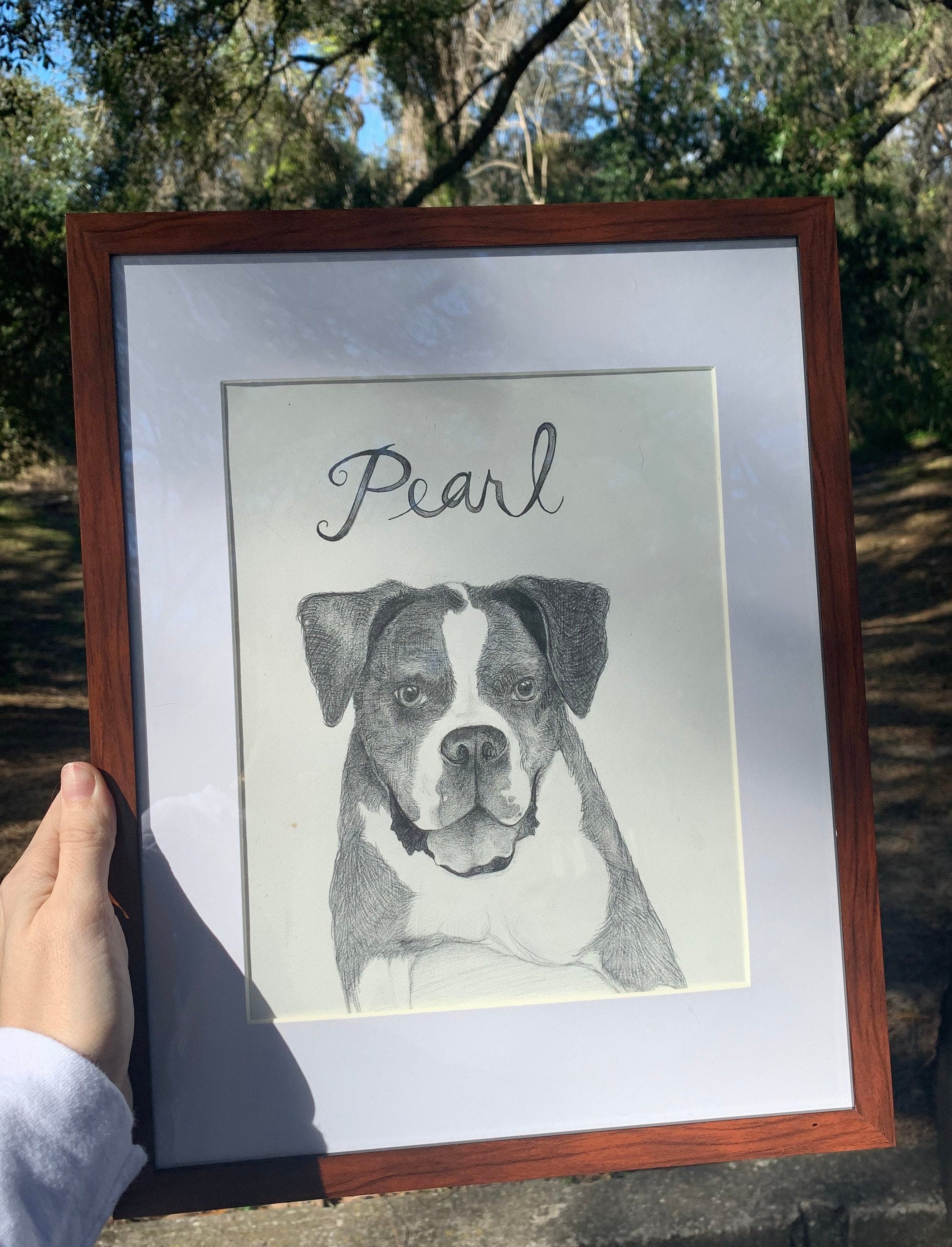 Custom Hand Drawn Pet Portrait - Etsy