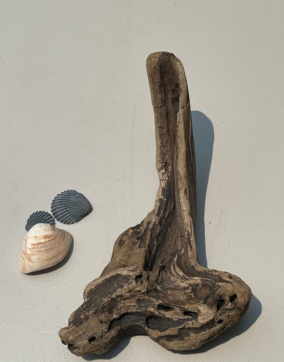 Home Improvement Wood Driftwood Terrarium decor reptile decor raw yard