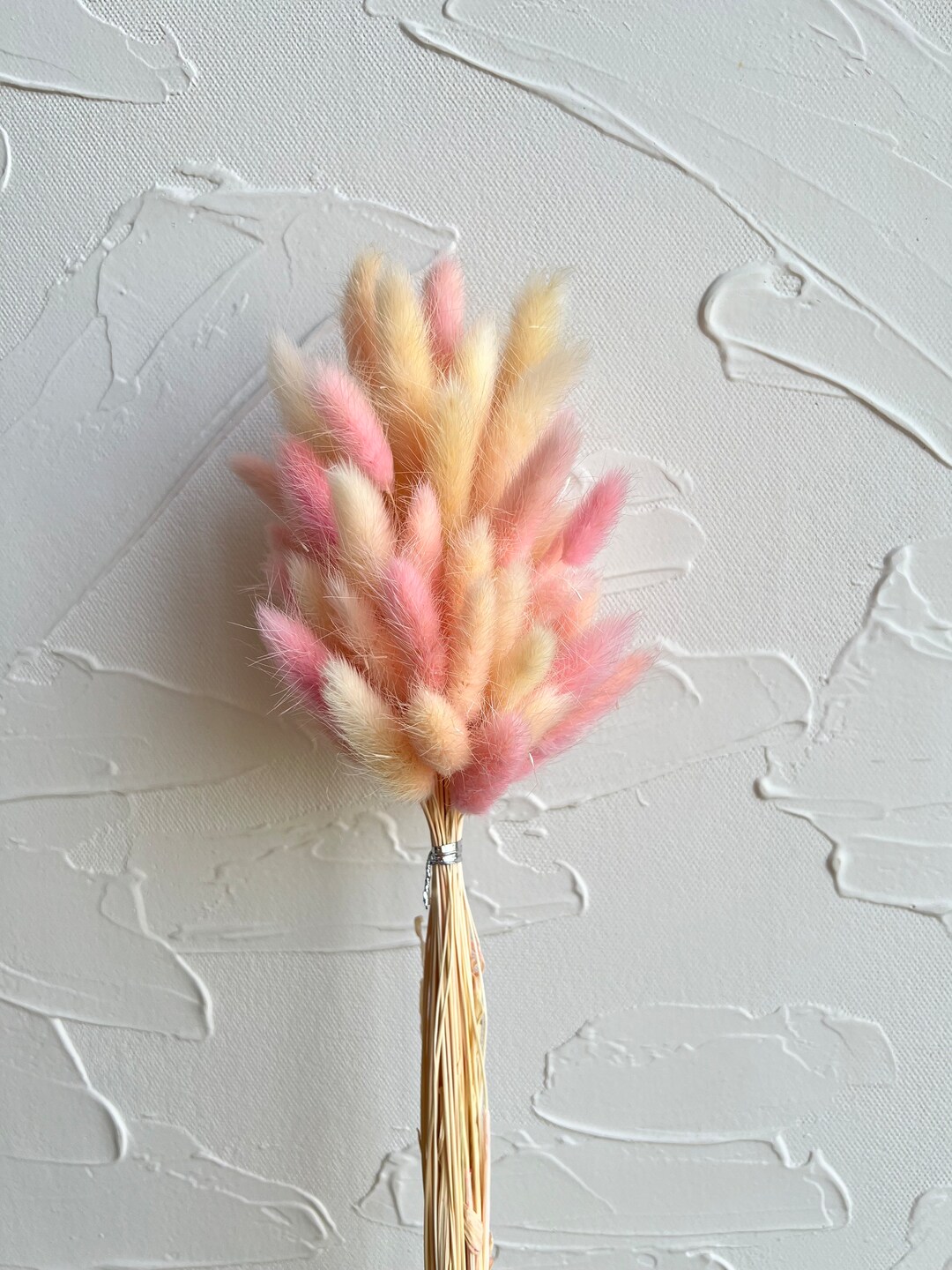 Preserved Bunny Tails MARSHMALLOW More Colours DIY Dried Etsy