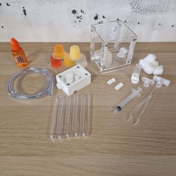 Complete Ant Keeping Small Set: Mesh Nest, Outworld, Test Tubes, Feeder, Accessories, and More!