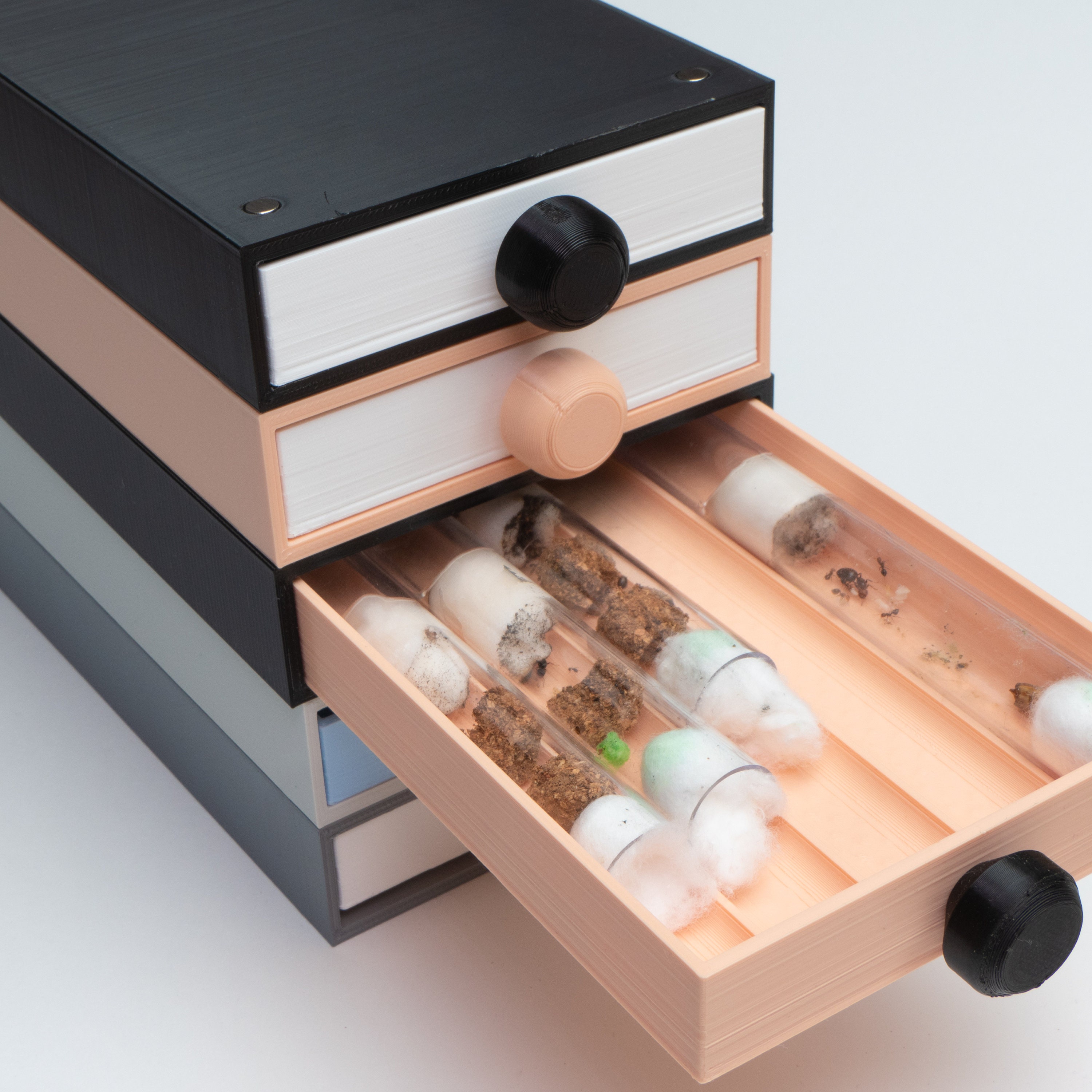 Die Königin Schublade Bewahren Sie Ihre Ameisen ordentlich | Etsy