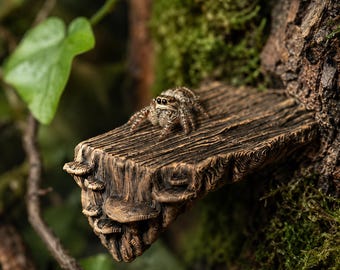 Zestaw 3 magnetycznych półek do karmienia gadów, platformy do terrarium z naturalnego drewna, miska do karmienia mrówek, dekoracja wiwarium