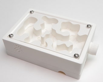 ORIGINAL Medium Mesh Nest By Esthetic Ants | Small Ant Outworld | Ant Formicarium For Your Ants | 3D Printed Ant Farm | Formicarium For Ants