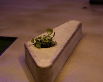 LOW OVAL LEDGE
