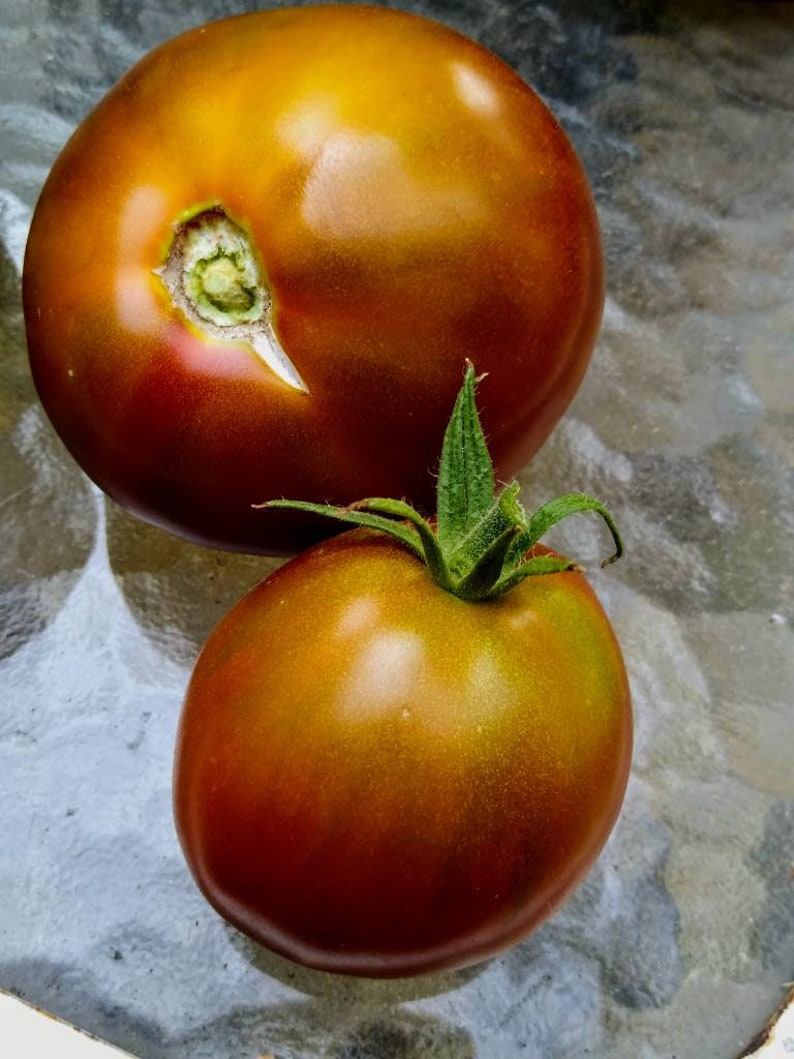 Japanese Trifele truffle Tomato Seeds free Shipping Etsy