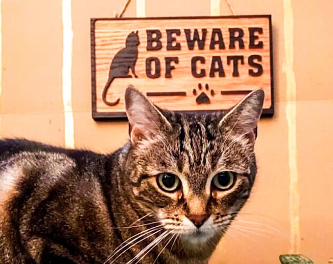 Beware of Cat(s) sign. Hang outdoors or indoors. Handmade weather-resistant sign alerts visitors to your pets. Use for security or fun.