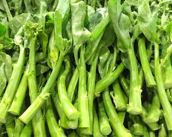 50 Chinese Kale Kailaan seeds----vegetable seeds--Pak Ka Na seeds—plant seeds—seeds gift