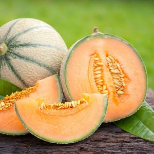 Könnte beinhalten: Eine ganze Cantaloupe-Melone mit grünen und weißen Streifen und zwei Scheiben Cantaloupe-Melone mit orangefarbenem Fruchtfleisch und schwarzen Kernen auf einer Holzoberfläche.