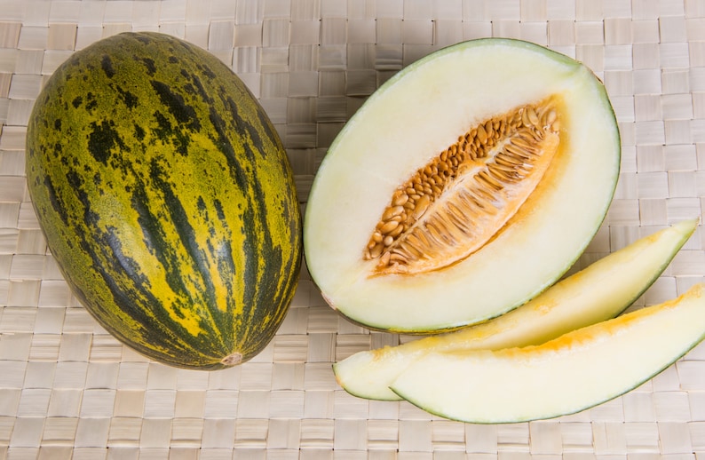 May include: A whole green and yellow striped cantaloupe melon next to a half cantaloupe melon with seeds and two slices of cantaloupe melon.