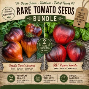 Bundel 10 zeldzame Sophia's Sweet Caramel Tomato & 10 SGT Pepper-tomatenzaadjes | Unieke erfstuk tomatenzaden | Groentezaden |Plantenzaden|Cadeau