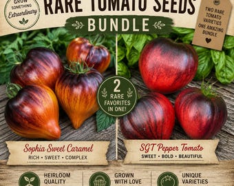 Bundle 10 rare Sophia's Sweet Caramel Tomato & 10 SGT Pepper tomato seeds | Unique heirloom tomato seeds | Vegetable seeds |Plant seeds|Gift