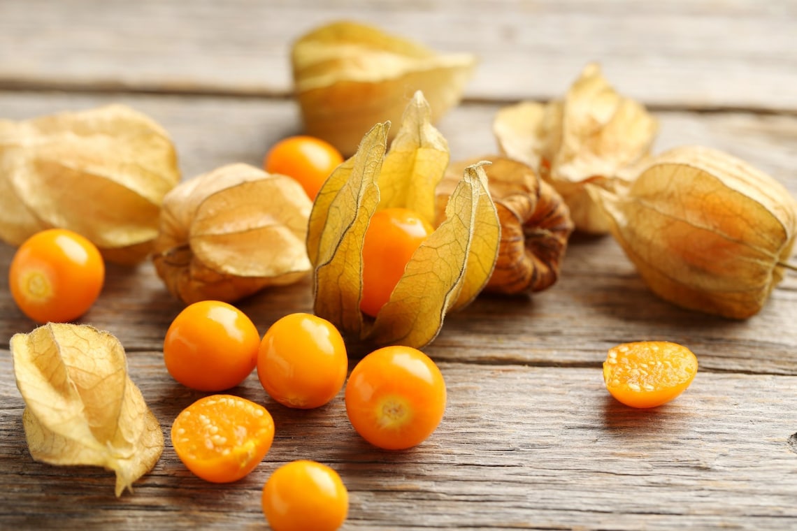 30 CAPE GOOSEBERRY Seeds Etsy UK