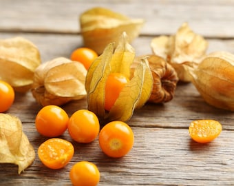 20 nasion agrestu przylądkowego ---Nasiona owoców --Nasiona roślin --Ogrodnictwo --Nasiona --Prezent