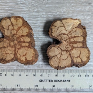 Può includere: Due fette di legno marrone con un motivo unico, intricato e naturale. Le fette hanno un diametro di circa 12,5 cm.