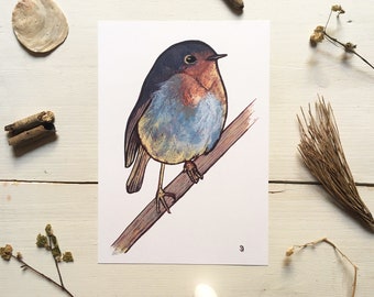 Art Print - Robin Illustration - A4 Recycled Uncoated Paper