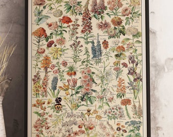Adolphe Millot Botanical Print: Vintage Flower Science Poster, Kitchen Decor
