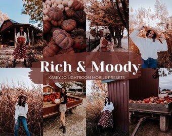5 Rich and Moody Mobile Lightroom Preset, Dark Fall Tone Photo Editing, Holiday Instagram Outdoor Filter for Bloggers