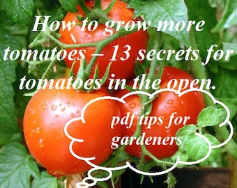 How to grow more tomatoes, 13 secrets about tomatoes in the open, a gardening guide, a gift for the garden,instant download of a garden book
