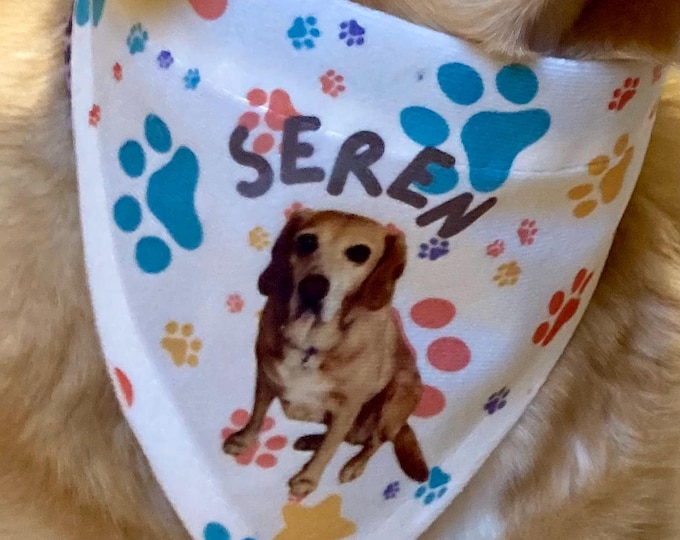 Bandana Ci  wedi ei bersonoleiddio/  Personalised  Dog bandana with photo