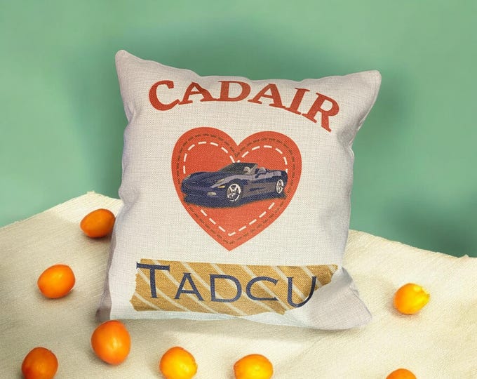 Clustog Dad gorau'r Byd/ Taid/ Tadcu...Best Dad/Grandad in the World cushion.