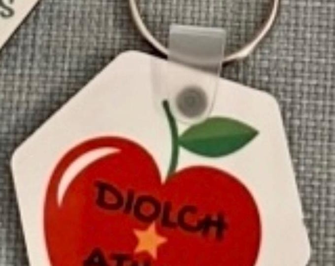 Cadwyn allwedd ‘Diolch Athro''. / Welsh Teacher keychain. Keyring Ideal teacher gift