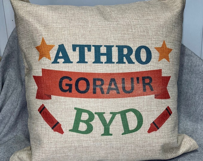 Clustog ‘athro gorau’r byd’ cushion