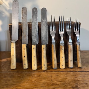 Antique Set of Bone Handled Cutlery