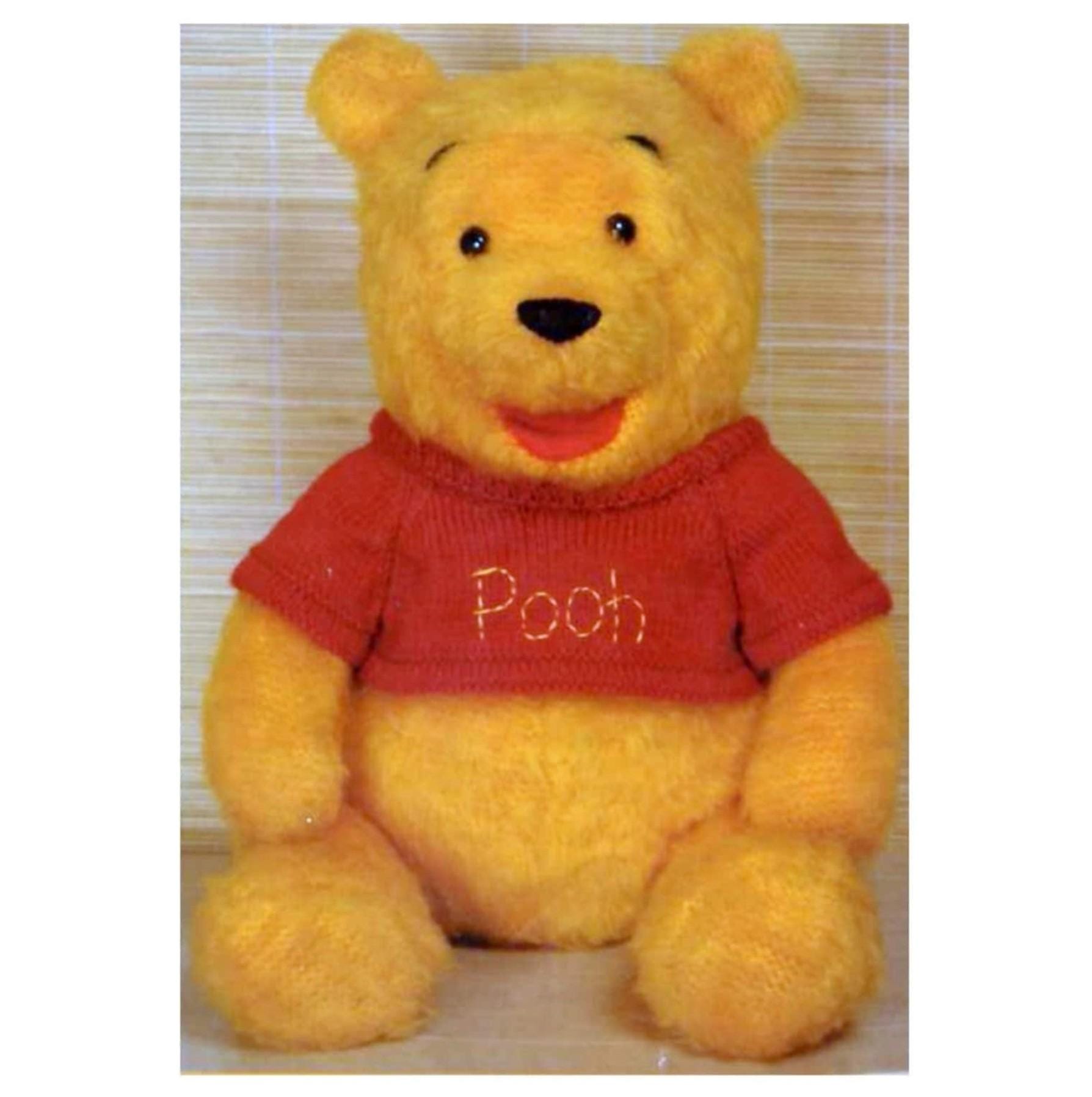 INSTANT DOWNLOAD PDF Vintage Knitting Pattern  Winnie the Pooh  Bear Soft Toy Story Telling Christmas Gift Plush Stuffed Retro