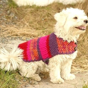 RETIREMENT SALE *** Vintage Knitting Pattern  Striped Dog Sweater Coat Jumper  Pet Puppy Chihuahua Bichon Frise Cocker Spaniel