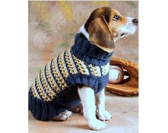 May include: A beagle dog wearing a blue and yellow striped knitted sweater with a turtleneck.